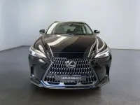 Usata Lexus NX300 Sport Line 309 CV (227 kW) 2024 Nero SUV