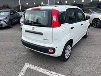 Nuova Fiat Panda S 70 CV (51 kW) 2025 Bianco Utilitaria