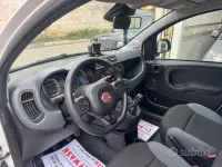 Usata Fiat Panda Lounge 85 CV (62 kW) 2020 Bianco Utilitaria