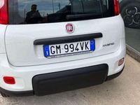Usata Fiat Panda S 69 CV (50 kW) 2023 Bianco Utilitaria