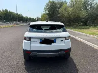 Usata Land Rover Range Rover evoque 150 CV (110 kW) 2017 Bianco SUV