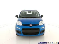 Nuova Fiat Panda Icon 65 CV (47 kW) 2026 Blu Utilitaria