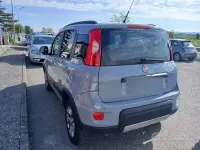 Usata Fiat Panda 4x4 95 CV (69 kW) 2019 Grigio Utilitaria