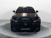 Usata Lexus NX300 Sport Line 309 CV (227 kW) 2024 Nero SUV