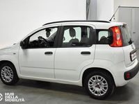 Usata Fiat Panda Easy 69 CV (50 kW) 2017 Bianco Utilitaria
