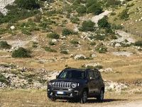 usata Jeep Renegade Renegade2019 1.6 mjt Limited 2wd 120cv