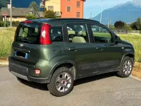 Usata Fiat Panda 4x4 80 CV (58 kW) 2015 Verde Utilitaria