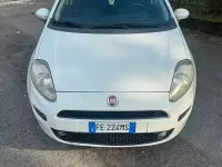 Usata Fiat Punto 69 CV (50 kW) 2016 Bianco Utilitaria