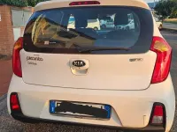 Usata Kia Picanto 67 CV (49 kW) 2017 Bianco Utilitaria