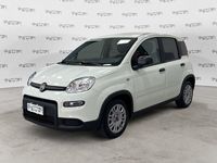 Usata Fiat Panda S 69 CV (50 kW) 2023 Bianco Utilitaria