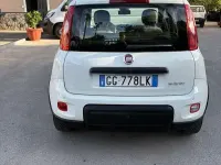 Usata Fiat Panda Cross Cross 69 CV (50 kW) 2021 Utilitaria