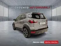 Usata Ford Ecosport Active 125 CV (91 kW) 2023 Grigio SUV