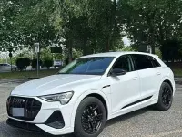 Usata Audi e-tron 158 kW (215 CV) 2020 SUV
