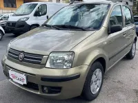 Usata Fiat Panda Dynamic 60 CV (44 kW) 2008 Oro Utilitaria