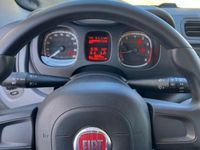 usata Fiat Panda 1.2 Lounge 69cv