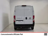 Usata Fiat Ducato 33 160 CV (117 kW) 2020 Bianco Furgone