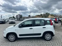 Usata Fiat Panda Cross Cross 70 CV (51 kW) 2023 Bianco Utilitaria
