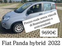 Usata Fiat Panda Easy 69 CV (50 kW) 2020 Rosso Utilitaria