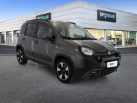 usata Fiat Panda Cross 1.0 FireFly 70cv S&S Hybrid