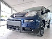 usata Fiat Panda Cross 1.0 FireFly S&S Hybrid City usato