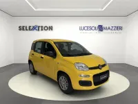 Nuova Fiat Panda Pop 65 CV (47 kW) 2026 Giallo Utilitaria