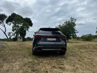 Usata Lexus RX500h Sport Line 272 CV (200 kW) 2024 Grigio SUV