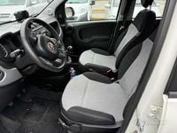 Usata Fiat Panda Lounge 84 CV (61 kW) 2020 Bianco Utilitaria