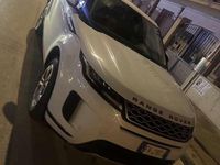 Usata Land Rover Range Rover evoque 150 CV (110 kW) 2019 Bianco SUV
