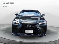 Usata Lexus NX300 243 CV (178 kW) 2023 Verde SUV