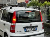 Usata Fiat Panda Dynamic 60 CV (44 kW) 2009 Utilitaria