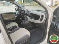 Usata Fiat Panda Easy 2013 Beige Utilitaria
