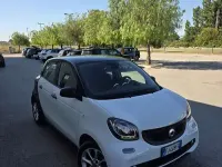 Usata Smart ForFour Prime 71 CV (52 kW) 2017 Bianco Utilitaria
