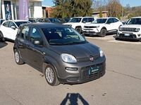 Usata Fiat Panda S 69 CV (50 kW) 2023 Grigio Berlina