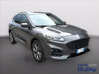 Usata Ford Kuga ST-Line 150 CV (110 kW) 2023 Grigio SUV