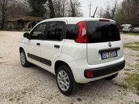 Usata Fiat Panda 4x4 Pop 86 CV (63 kW) 2020 Bianco Utilitaria