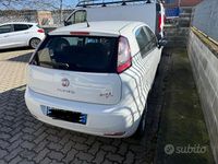 Usata Fiat Punto Street 75 CV (55 kW) 2014 Bianco Utilitaria