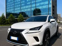 Usata Lexus NX300h E-FOUR Luxury Line 197 CV (144 kW) 2020 SUV