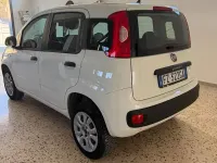 Usata Fiat Panda Easy 71 CV (52 kW) 2019 Bianco Utilitaria