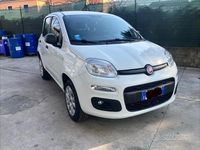 Usata Fiat Panda Easy 70 CV (51 kW) 2020 Bianco Utilitaria