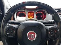 Usata Fiat Panda Cross Cross 95 CV (69 kW) 2016 Verde Utilitaria