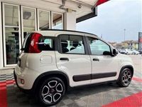 usata Fiat Panda Cross 1.0 FireFly S&S Hybrid City usato