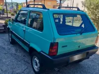 Usata Fiat Panda 4x4 50 CV (36 kW) 2002 Verde Utilitaria