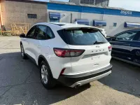 Usata Ford Kuga Business Edition 120 CV (88 kW) 2021 Other SUV