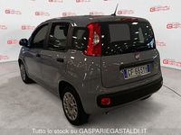 Usata Fiat Panda S 70 CV (51 kW) 2021 Grigio Utilitaria