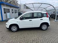 Usata Fiat Panda S 69 CV (50 kW) 2023 Bianco Utilitaria