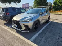 Usata Lexus NX450h+ Sport Line 143 CV (105 kW) 2025 Grigio SUV