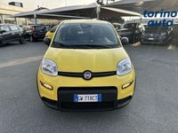 Usata Fiat Panda S 69 CV (50 kW) 2024 Giallo Berlina