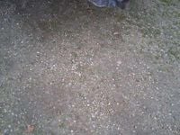 Usata Toyota HiLux Executive 150 CV (110 kW) 2016 Bianco Pick-up