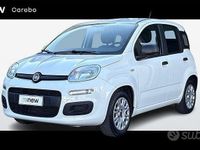 Usata Fiat Panda Easy 70 CV (51 kW) 2020 Bianco Utilitaria