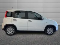 Usata Fiat Panda S 69 CV (50 kW) 2024 Bianco Utilitaria